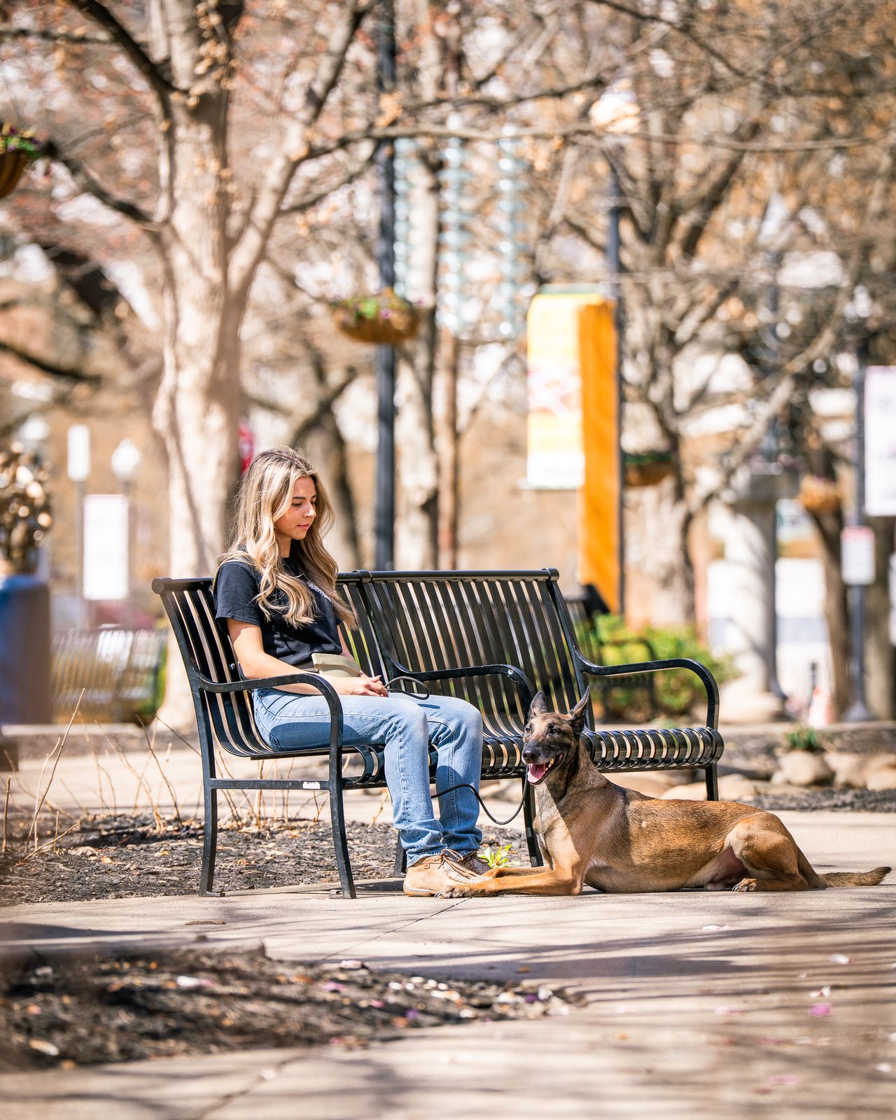 A woman sits on a bench while a Malinois lies down at her feet on a tree-lined downtown plaza